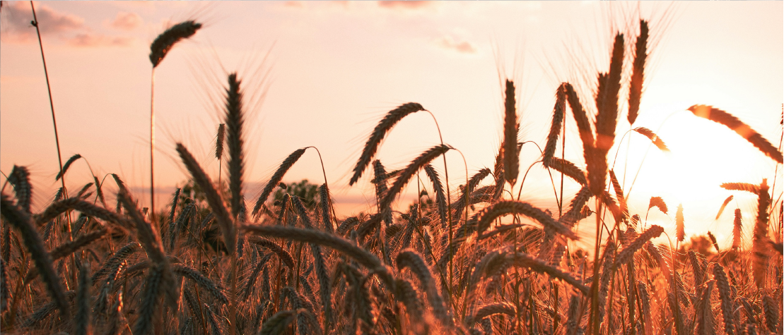 Bia-Agriculture Bia-Agriculture